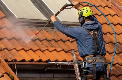 Démoussage et hydrofuge de toiture à Belleu